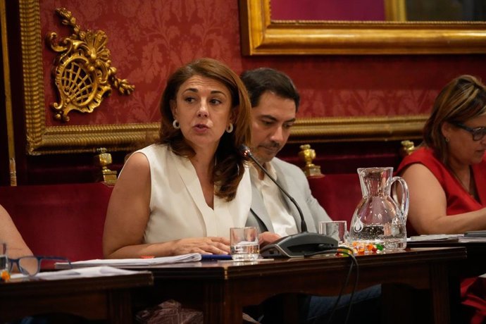 La concejala portavoz del grupo municipal del PSOE en el Ayuntamiento de Granada Granada, Raquel Ruz, durante la Comisión Extraordinaria de Economía.