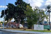 Foto: La prolongación del metro culmina el trasplante del ficus singular en su nueva ubicación