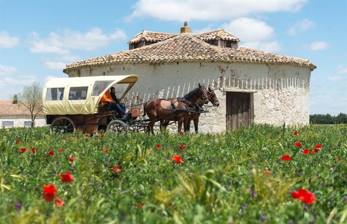 La Diputación de Valladolid abre las inscripciones para el XIV Plan de Concienciación Medioambiental del CIN Matallana