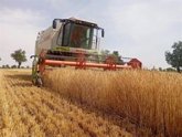 Foto: Los cerealistas de Huelva no sembrarán este año "si las administraciones no garantizan la viabilidad del cultivo"