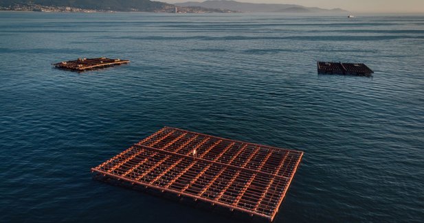 Pesca Galicia