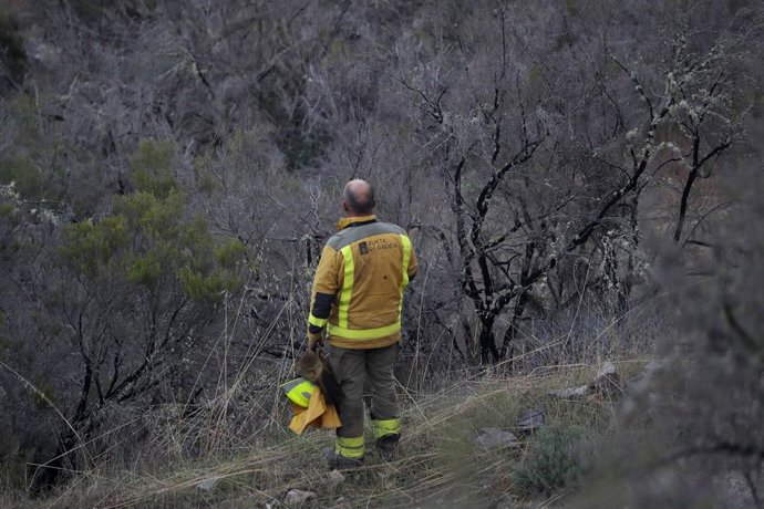 Varios bomberos forestales colaboran en las labores de extinción de un incendio forestal. Foto de archivo.