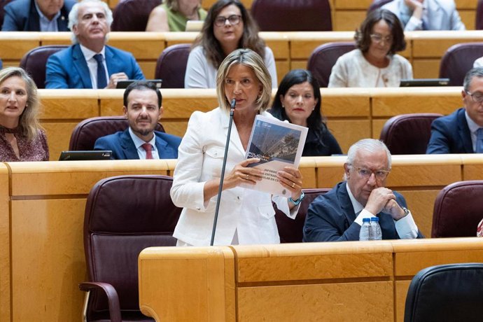 La portavoz del PP en el Senado, Alicia García