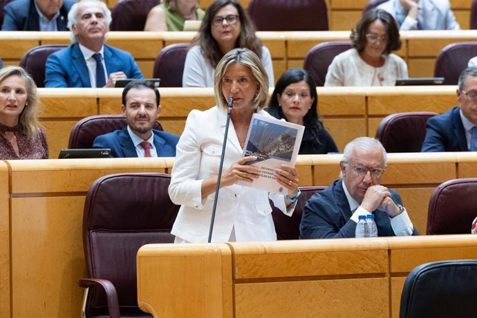 A porta-voz do PP no Senado, Alicia García