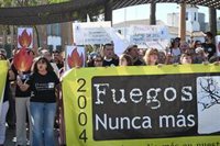 Maíllo reclama a la Junta una política de prevención con ayudas "inmediatas" para municipios afectados por los incendios