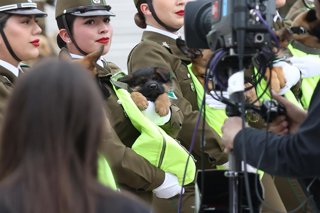 Santiago 19 de septiembre 2026. Se desarrolla una nueva version de la Gran Parada Militar en honor a las Glorias del Ejercito de Chile en el Elipse del Parque OÕHiggins, de la comuna de Santiago. Dragomir Yankovic/Aton Chile