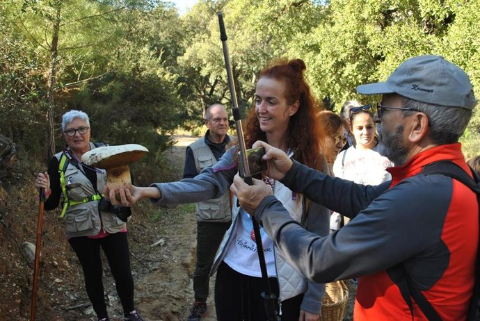 Monda (Málaga) volverá a ser en noviembre epicentro de la micología en la Sierra de las Nieves con sus jornadas