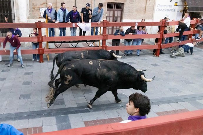 Último encierro de Guadalajara.