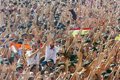 El Ayuntamiento de Logroño subraya que "la normalidad ha sido la tónica general de la jornada del cohete de San Mateo"