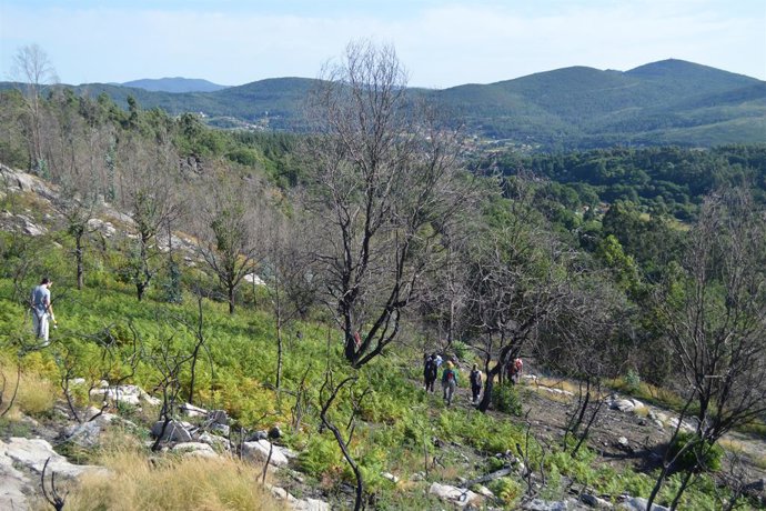 Archivo - Arquivo - Florestas Comunitárias de Rebordelo