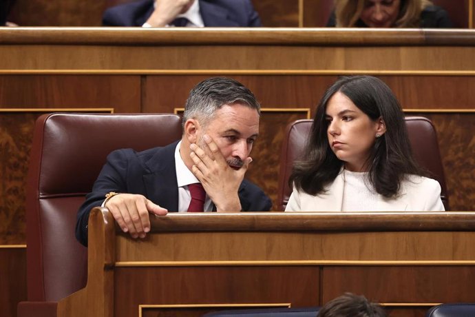 El presidente de Vox, Santiago Abascal, y la portavoz de Vox en el Congreso, Pepa Millán, durante una sesión plenaria en el Congreso de los Diputados.