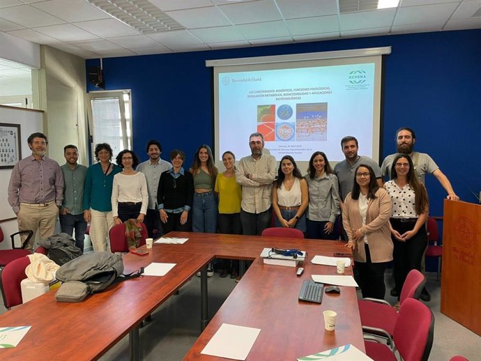 Imagen del proyecto de investigación de las universidades de Huelva (UHU) y Sevilla (US), financiado por la Consejería de Universidad, Industria.