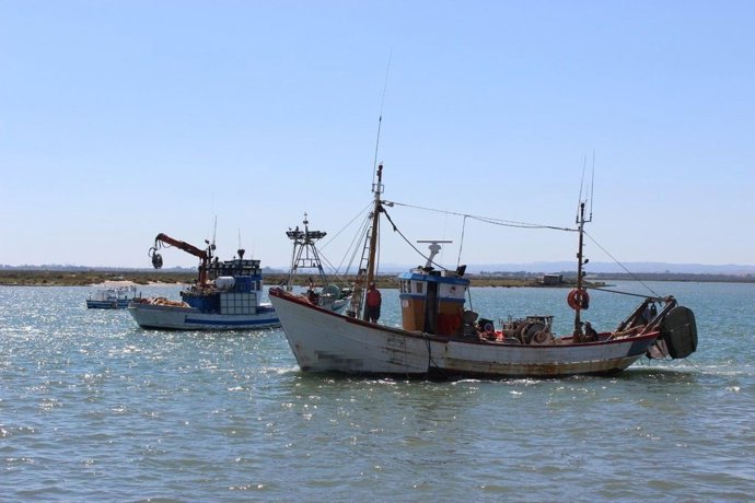 Archivo - Barcos pesqueros