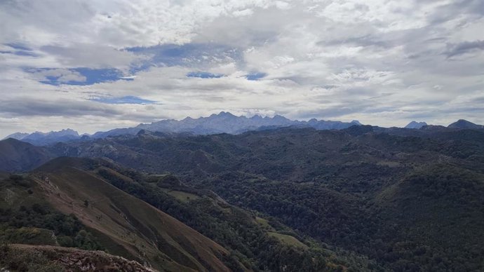 Picos de Europa