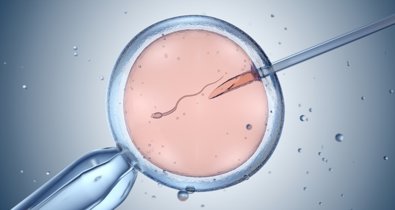 Investigación