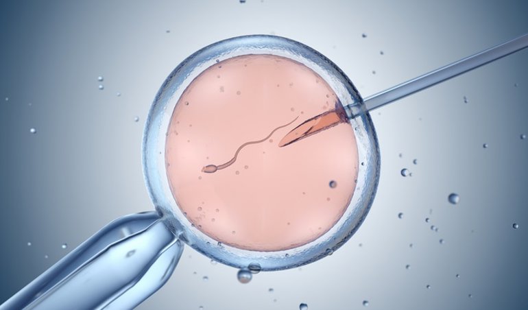 Investigación