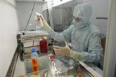 Foto: Una terapia de 'células madre con GPS' reduce un 94% las fracturas por osteoporosis