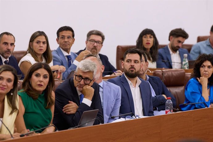 Diputados del PSOE-A en el Pleno del Parlamento andaluz. (Foto de archivo).