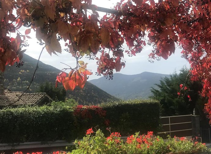 Archivo - Colores de otoño con hojas de parra rojizas, flores rojas y seto verde con un tejado al fondo