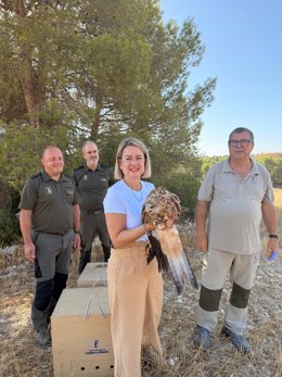 Liberados en Albacete dos pollos de milano real, una especie en peligro de extinción.