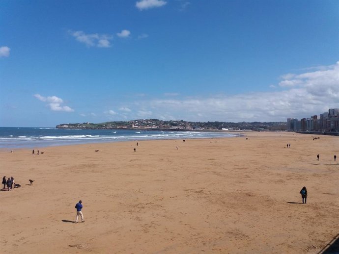 Archivo - Perros en la Playa de San Lorenzo, Gijón