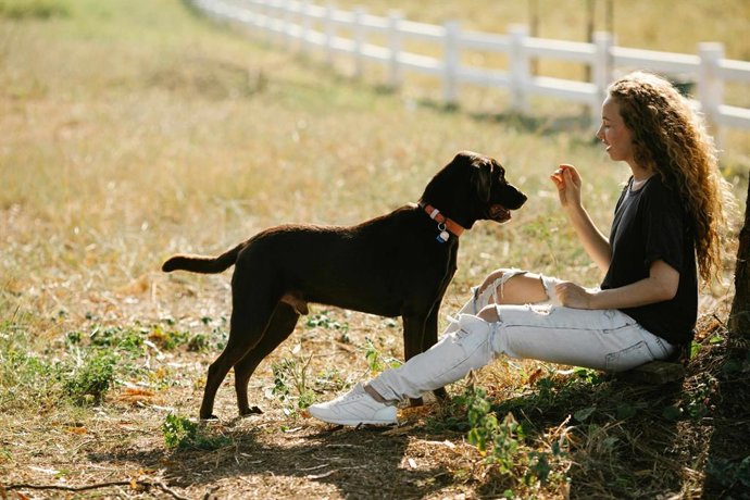 Una joven juega con un perro adoptado.