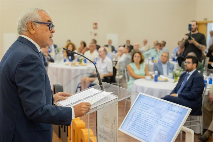 El presidente del Colegio de Médicos de Málaga, el doctor Pedro J. Navarro.