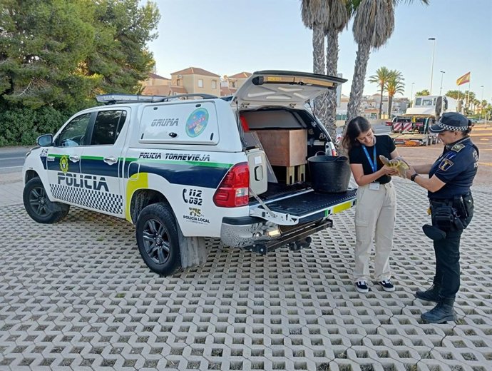 Rescaten a una tortuga marina ferida en la platja de la Mata de Torrevella
