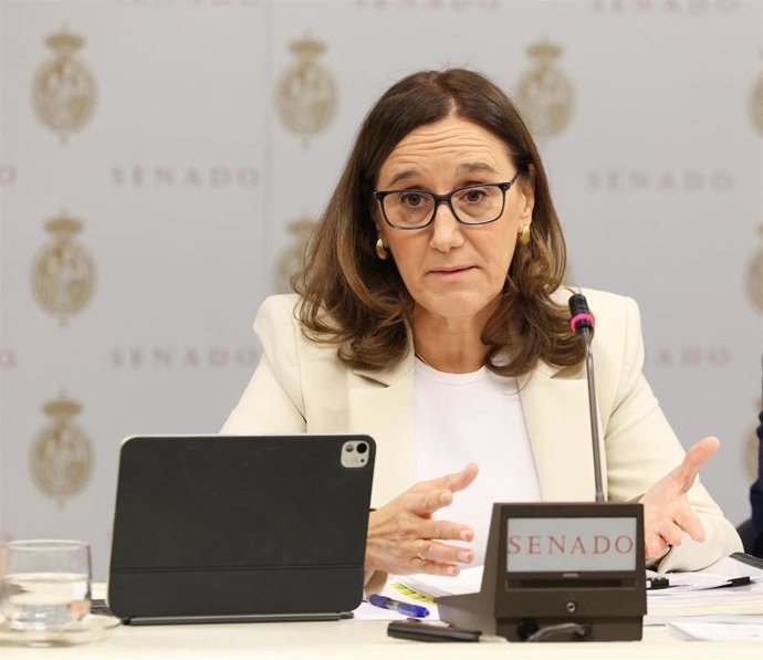 La expresidenta de la Agencia Estatal de Seguridad Ferroviaria y exsecretaria general de Transporte Terrestre, Rocío Báguena, en la Comisión de Investigación del estado de la red ferroviaria en España; Senado, 21 de septiembre de 2026, Madrid (España).