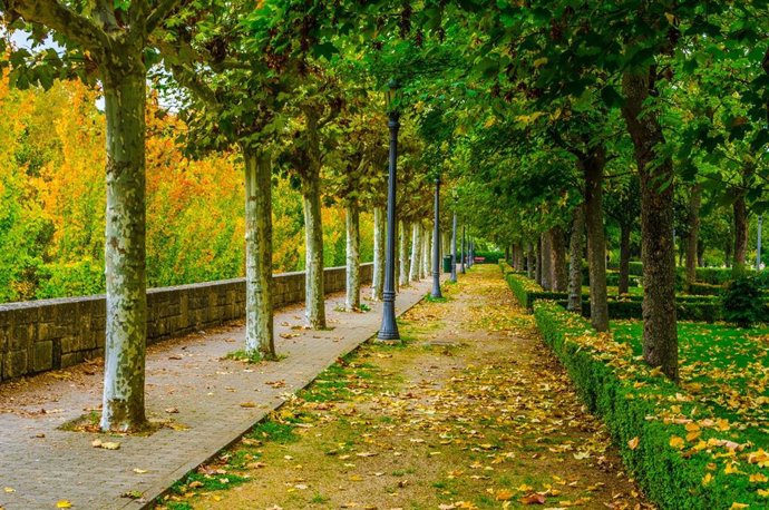 Imagen de una zona verde de Pamplona