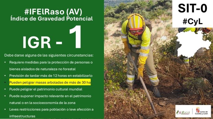 Gráfico elaborado por Inforcyl con datos sobre el incendio en El Raso