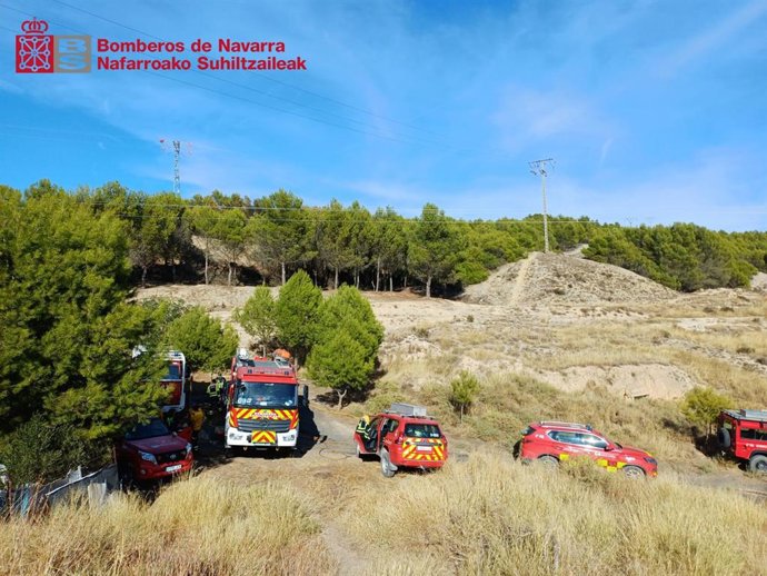Efectivos de Bomberos han controlado un incendio de pinar que se ha declarado al noreste de Lodosa.