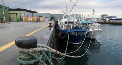 Pesca Galicia