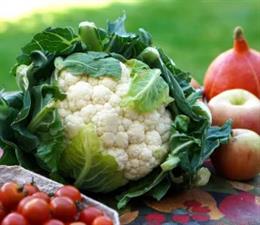 Programa escolar de consumo de frutas, hortalizas y leche.
