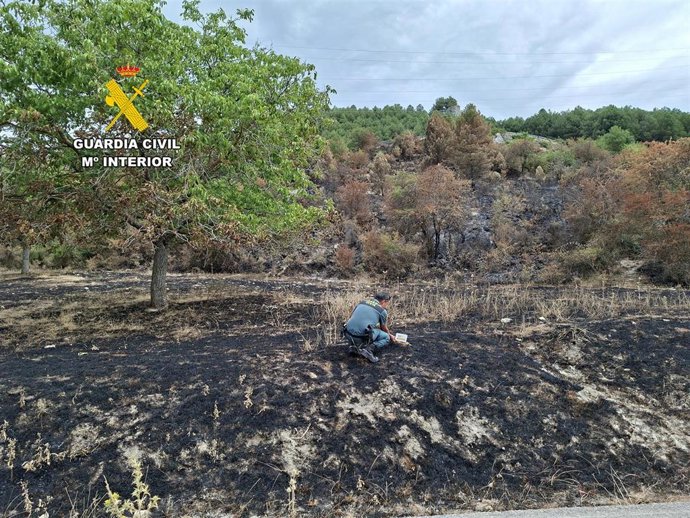 Archivo - Una agente de la Guardia Civil inspecciona la zona del incendio.