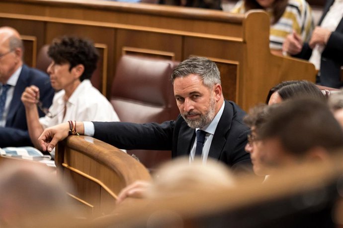 El presidente de Vox, Santiago Abascal.