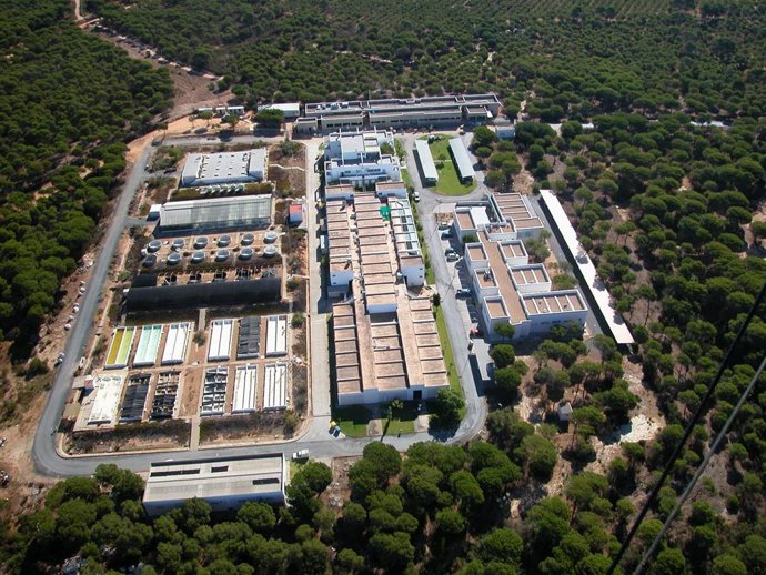 Ifapa Aguas del Pino en Cartaya (Huelva).