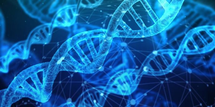 Imagem de referência do DNA.