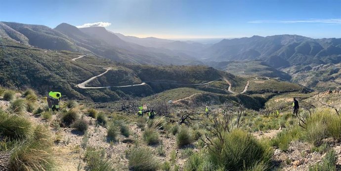 El paraje afectado por el incendio de Los Guajares recupera sus primeras 80 hectáreas