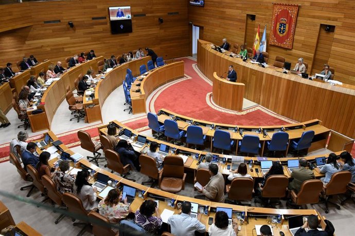 El conselleiro de Educación, Ciencia, Universidades e FP, Román Rodríguez, en el debate de la ley de educación digital en el Parlamento.