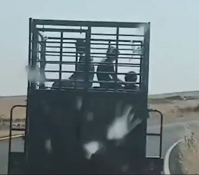 Menores en la parte exterior de la pick-up en la provincia de Cáceres