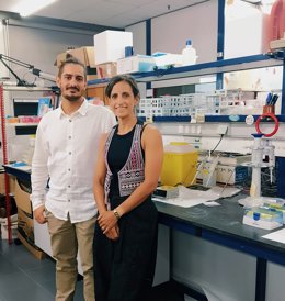 Equip investigador de la UV