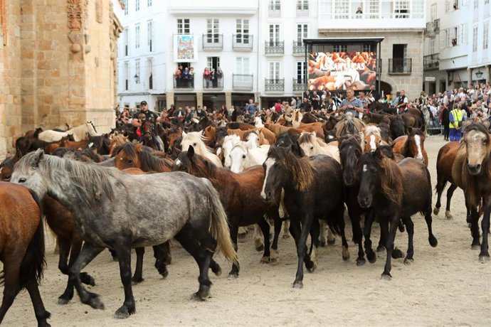 Archivo - La manada de caballos salvajes y los jinetes pasan frente a la Catedral de Mondoñedo, durante la feria de As San Lucas, a 17 de octubre de 2025