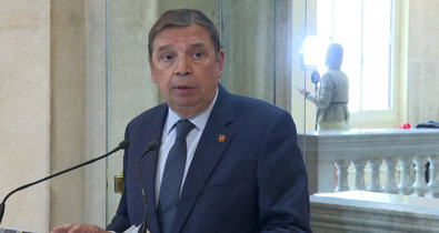 Vídeos