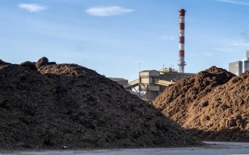 Archivo - Magnon refuerza servicios energéticos y suma un nuevo contrato para descarbonizar el sector de la alimentación