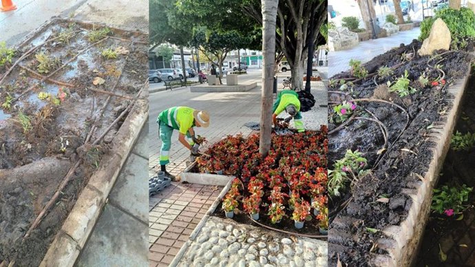 Trabajos de replantación en jardines de Mijas, Málaga.