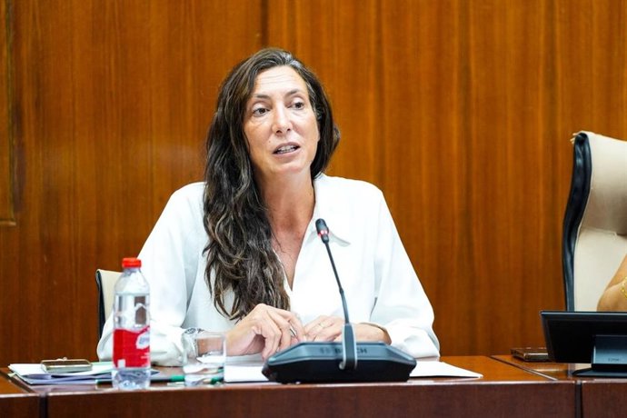 La consejera de Servicios Sociales, Loles López, en la comisión parlamentaria del 22 de septiembre de 2026.