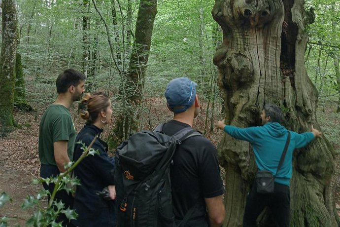 Una de las visitas realizadas al parque natural de Bertiz.