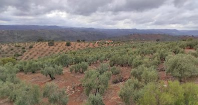 Andalucía