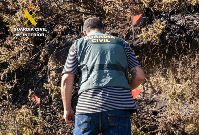 Agente del SEPRONA investiga un incendio
